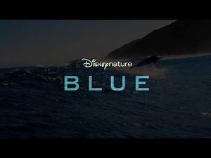Disneynature's Blue - Aftermovie - Disney NL
