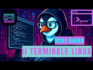 Linux Terminal 👨‍💻 | Mini-Guide and Basic Commands