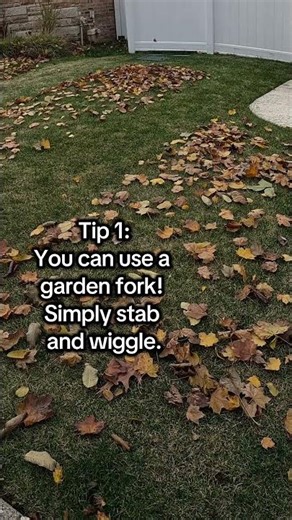 How to Spring Aeration 🌿 – Simple Lawn Care Tips for Homeowners #CoreAeration #LawnCompaction