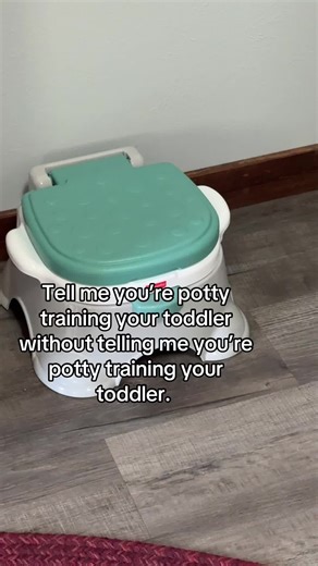Potty Training Adventures: Tips for Toddler Success