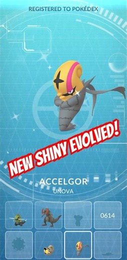 Evolving My ✨SHINY✨ Shelmet Into Accelgor On Pokemon Go!