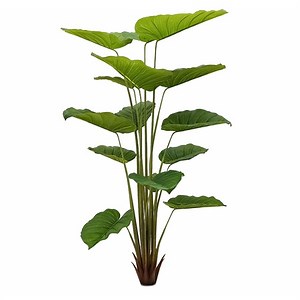 Planta artificiala, Colocasia Gigantea fara ghiveci, Naimeed D5613, 173x110 cm, Verde - eMAG.ro
