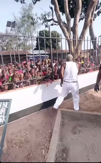 Kondegang 💥 #harmonize #fypシ #trending