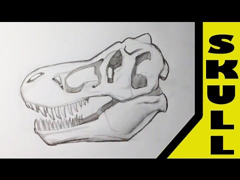Drawing a T-Rex Skull - Skull Drawings
