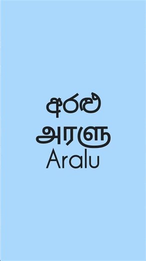 Daily one word in Sinhala #shortvideo #shorts #secondlanguage #languagelearning #languagelearningfun