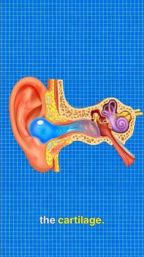 Why You Should Never Sleep With Headphones On 😨