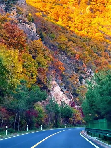 user4786163638177 (@user4786163638177)’s videos with Cool Shadow Groove - Midnight Jazz Blues Chill Out