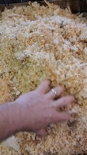 9.7K views · 101 reactions | On poursuit la fonte de nos opercules de cire, cet or insoupçonné de la ruche... | Rucher Du Grand Chêne | Facebook