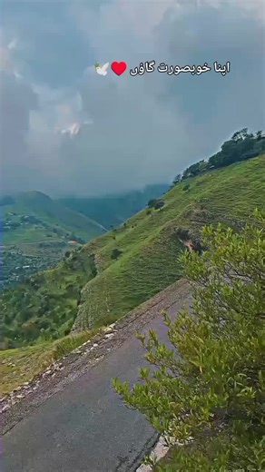 MAHAZ ABBASII @$$ (@mahaz.abbasi136)’s videos with original sound - MAHAZ ABBASII @$$