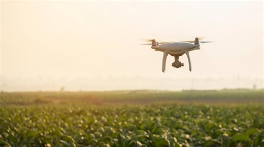 AirSeed Technologies to use ‘science and technology’ to plant 100m trees a year