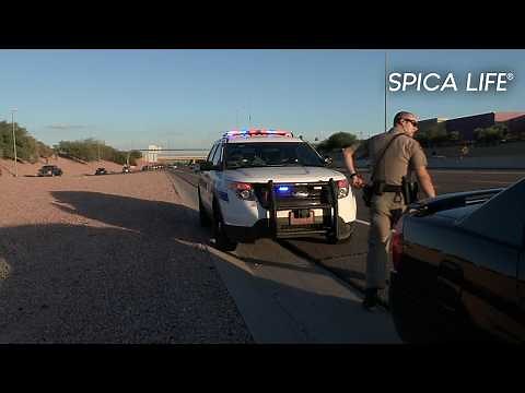 the hell of american roads