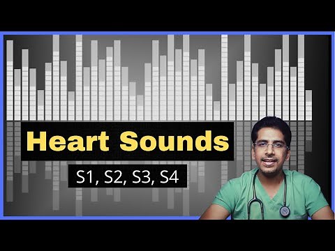 HEART SOUNDS | S1, S2, S3, S4 (Use headphones)!