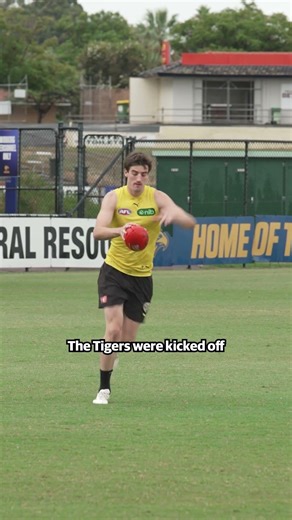 Tigers train as cyclone approaches