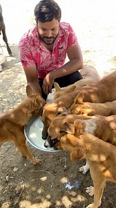 91K views · 10K reactions | Serve Needy on Reels | Facebook