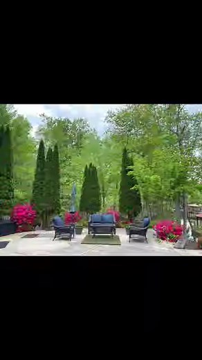 3.1K views · 125 reactions | A beautiful Spring weekend ❤️ | Allison Fisher MBE | Facebook