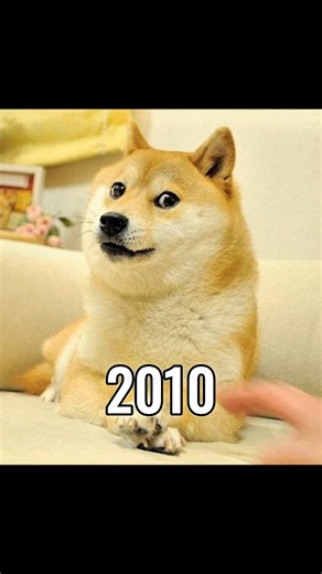 The Most Legendary Dog Memes (Then Vs Now) 😭💔