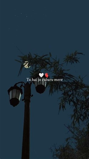 🎵 Tu Hi Jo Rubaru Mere ❤️ | Romantic Lyrics Status | Feel The Love ✨