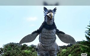 水栖毒兽 多古利德&无重力怪兽 佩格洛斯(佩古诺斯)&流星怪兽 雷基尼斯(青龙) 剧照、同人图以及金栗老师的娘化