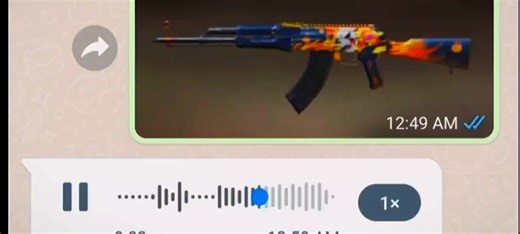 Different Gun Sounds Compilation