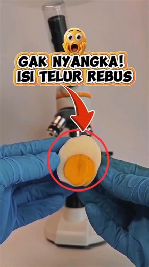 #bome #shorts #faktaunik Ga nyangka! ternyata isi telur rebus seperti ini !!