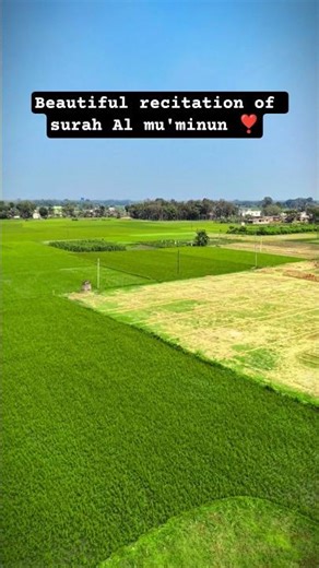surah Al mu'minun recitation❣️ #islamicvideo #islamicshorts #shorts