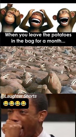 😂 most funniest memes of all time # 99😂😂| #viral #funny #memes #comdey