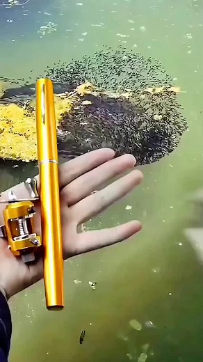 Fishingrodfactory on TikTok