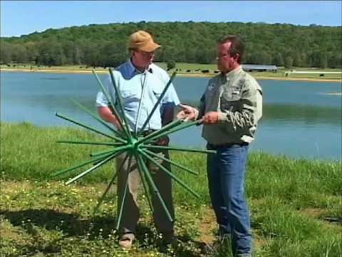 Build a Trophy Bass Pond