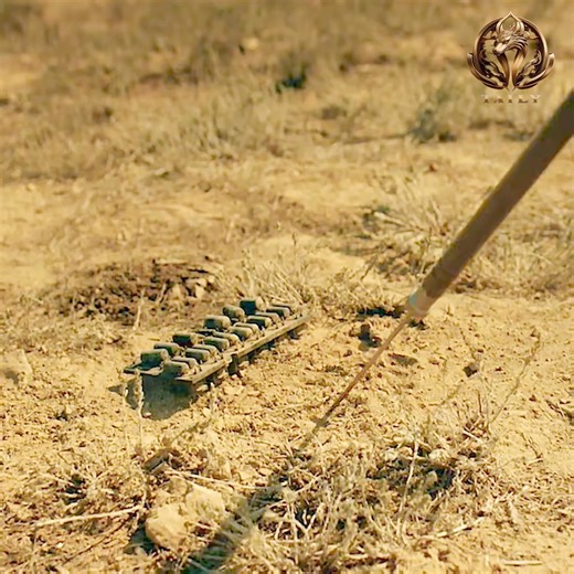 best action series on netflix 2025 | Fun MLBB