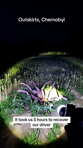 An unfortunate incident led to our driver being captured by a local Chernobyl trapdoor spider #spider #trapdoorspider #HesOkayNow #wtfisthat #ohhellno #chernobyl #ai #aivideo