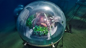 12 Fascinating Underwater Finds That Reveal the Ocean's Deepest Secrets