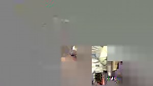 101K views · 281 reactions | DO YOU KNOW THEM? The Huntsville Police Department has released video of the Jones Valley Waffle House robbery. Read more about the crime here >> https://bit.ly/2RTwtHM | WAFF 48 News | Facebook