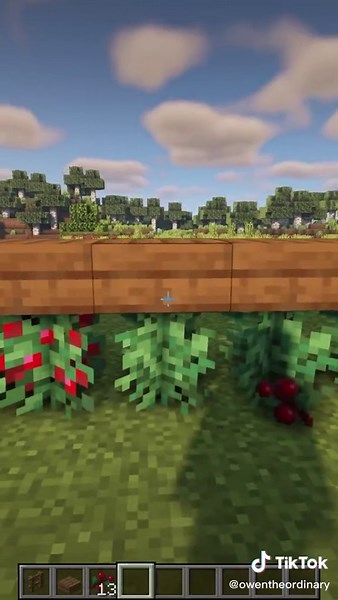 3 Starter Farms for Your Minecraft World
