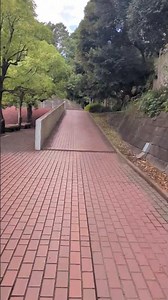 じゅん散歩20251027