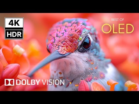 AMAZING 4K HDR 120FPS | Dolby Vision Demo That’ll Blow Your Mind!