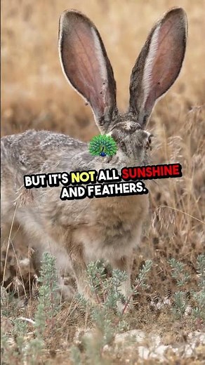 🐔 Do Chickens Eat Ticks? The Truth About Tick Control & Health Risks! 🚨