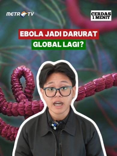 Dunia kembali waspada setelah WHO menetapkan status Darurat Kesehatan Global akibat lonjakan kasus Ebola dengan strain langka Bundibugyo di Kongo dan Uganda. Ngerinya, varian ini telah mencatat sekitar 300 kasus suspek dengan 88 korban jiwa, padahal belum memiliki vaksin atau obat spesifik. Merespons situasi ini, Kemenkes RI langsung memperketat kewaspadaan dan mengimbau masyarakat untuk menjaga kebersihan makanan, terutama dengan menghindari konsumsi daging hewan liar serta memastikan daging di