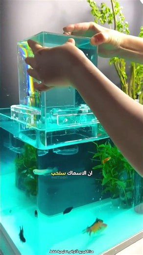 أظهر الرجل مدى اهتمامه بأسماكه الصغيرة 🥰