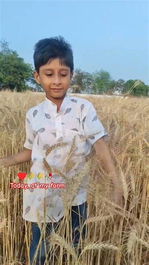 Today, at my farm ♥️🌾🥀🥰 #shorts #farmer #motivation #youtubeshorts #video #farm #farming #farmlife