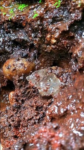 Discovering a 50,000$ Crystal 🔎💎#gems#agate#crystal#ore#Gems#diamonds #srilankagems #gemstone #Gold