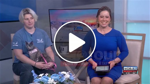 Angels of Assisi Prepares for Home and Garden Show - NewsBreak