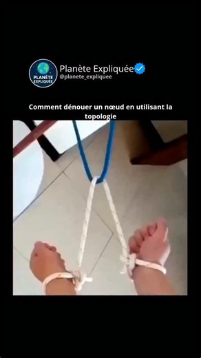 Planète expliquée on Instagram: "La science explique que la topologie est une branche des mathématiques qui étudie les propriétés des objets qui persistent même lorsqu'on les étire, les plie ou les tord, tant qu'on ne les casse pas ou ne les colle pas. C'est pourquoi on l'appelle parfois « géométrie du papier caoutchouté » : elle s'intéresse à l'essence des formes, et non à leurs détails précis. L'un des sujets les plus intéressants en topologie est l'étude des nœuds. Elle analyse quelles boucle