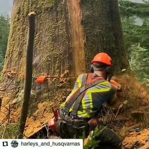 265K views · 2.7K reactions | Forestry Book on Reels | Facebook