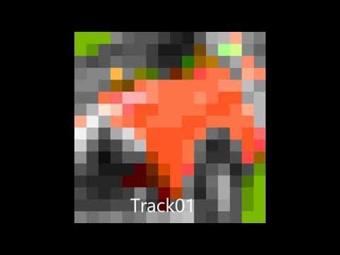 Austin Cooper S Racing Track01