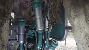 Cow Milking System Atomatiс Diary Robot 库存影片视频（100% 免版税）1111892501 | Shutterstock