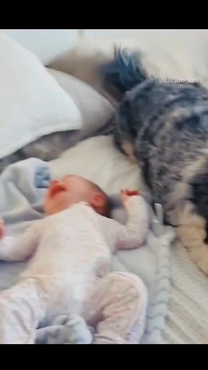 Cute baby #baby #fyp #babylife #babycute #cutebabies #babygirl #babyboy #lovelybaby #babylovers #reelsvideo #cutelittlebaby #babytime #cutebaby #littlebabies #cutebabies #babylovely #babyofthefamily #lovebabies #cutelittlebaby | video lol