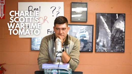 Are these heirloom tomato names real or fake? Join us for the internet’s new favorite game show. | MIgardener