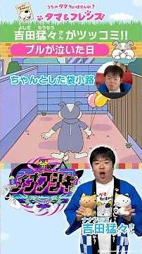 ブルが泣いた日【3丁目のタマ うちのタマ知りませんか？】 #shorts