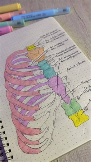 ‎ادمینی/کنکوری/ دانشجو‎ on Instagram‎: "میدونم تو هم دلت میخواد ساعت مطالعه ی بالا داشته باشی ولی نمیدونی چجوری 🤔🤔 کافیه کلمه ی« ساعت» رو برام ریـپلای کنی تا تو هم این روش خفن رو اجرا کنی @marya.konko . . . . . . . . . #کنکور #درس #هدف"‎