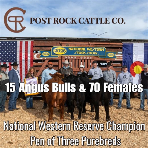 2026 Post Rock Cattle Co Annual Production Sale Saturday, February 28, 2026 @ 12:30 pm Central At the Ranch Near Barnard Kansas Selling Gelbvieh & Balancer Bulls and Females Videos Online Now: https://bit.ly/3ZuJZGm | Livestock Digital